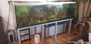 Verkaufe Aquarium