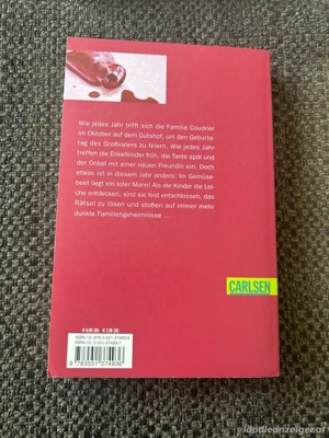 Jugendthriller, 4 Bücher Bild 4