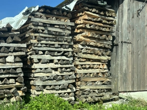 Brennholz Hart Weich