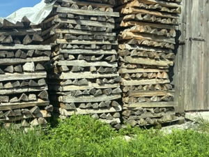 Brennholz Hart Weich Bild 2