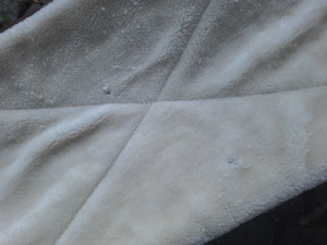 Katzenhängematte Bild 4