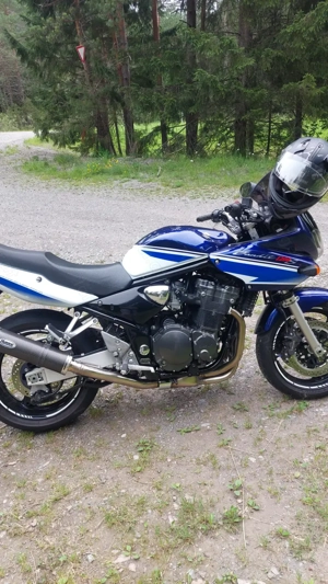 Suzuki Bandit 1200s Z Modell Bild 5