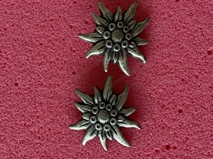 Ohrstecker : Edelweiß 