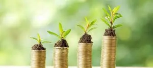 Sie benötigen dringend Geld? 