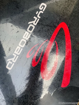 Balance-Trainer Gyro-Board Pro Performance Bild 2