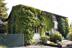 Ein Zimmer zum Leben und Geniessen wochen oder monatsweise in Rankweil zu vermieten  Bild 8