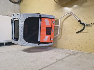 Hundekiki zu Verkaufen Bild 3