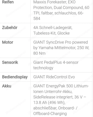 LIV Damen E-MTB Hardtail in S Bild 5