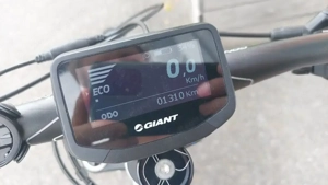 LIV Damen E-MTB Hardtail in S Bild 6