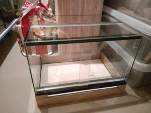 Terrarium aus Glas mit Doppelbelüftung 