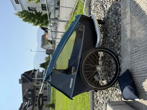 Croozer Kid Plus 1 Kinderanhänger - Perfekt für den Sommer!