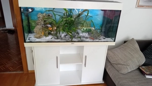 Aquarium Juwel Komplettset