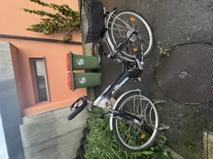 Fahrrad für Damen Bild 2