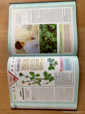 Lexikon der Gesundheit  Bild 4