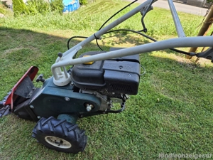 Motormäher Bild 2