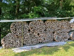 Brennholz Hartholz und Weichholz 