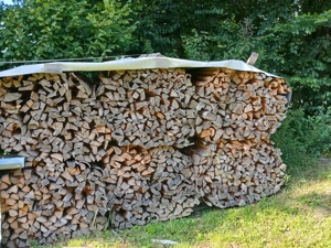 Brennholz Hartholz und Weichholz  Bild 2