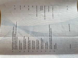 NEU!! Schlafanhänger mit Höhen verstellbarem Bett Bild 10