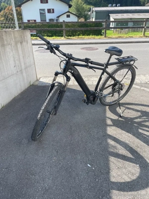 E-Montainbike  Bosch-Motor  generalüberhol 03 24 Bild 3