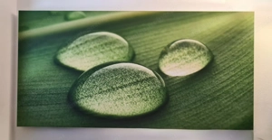 Akustikbild günstig zu verkaufen  Bild 2