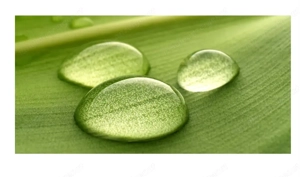 Akustikbild günstig zu verkaufen 