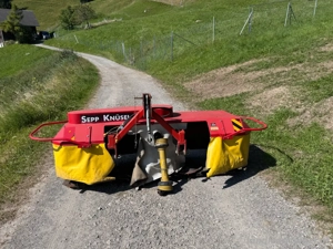 Sepp Knüsel Blitz 220F Bild 3