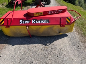 Sepp Knüsel Blitz 220F Bild 2