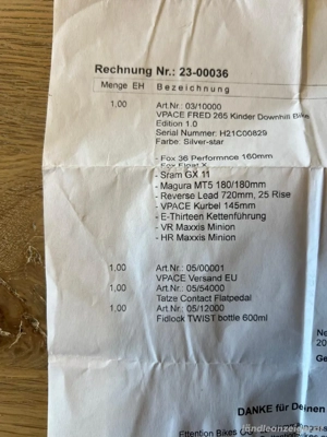 Kinder Downhill Bike VPACE FRED 265 Bild 2