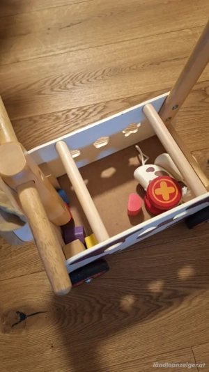 Lauflernwagen Bild 3