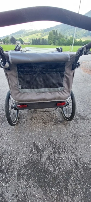 Qeridoo Sportrex 2 Bild 3