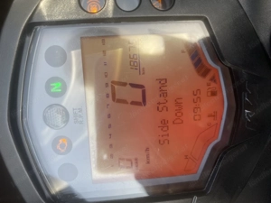 Scharfes  Biest abzugeben Bild 6