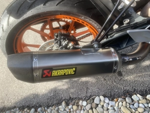 Scharfes  Biest abzugeben Bild 4