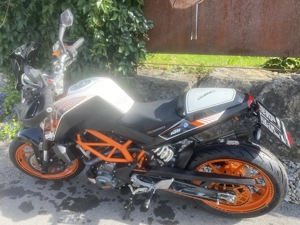 Scharfes  Biest abzugeben Bild 5