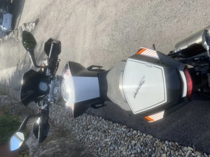 Scharfes  Biest abzugeben Bild 7