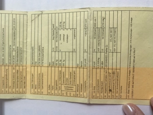 Scharfes  Biest abzugeben Bild 8