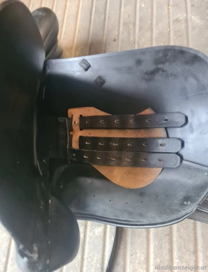 Dressursattel Bild 5