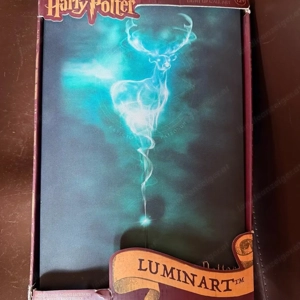 Harry Potter Luniart