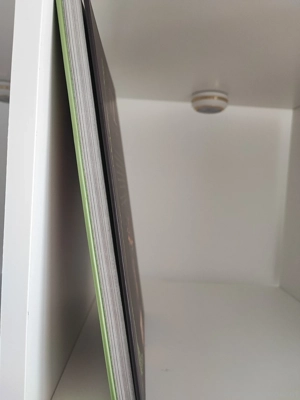 Der Zauberer von Oz (Schmuckausgabe) Bild 6