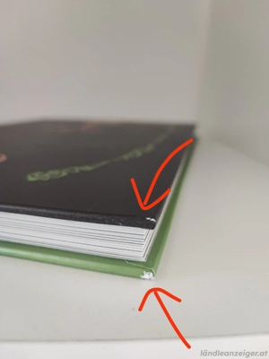 Der Zauberer von Oz (Schmuckausgabe) Bild 5