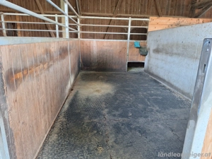 Pferdestall Auflösung Bild 3