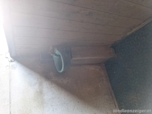 Pferdestall Auflösung Bild 4