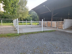 Pferdestall Auflösung Bild 5