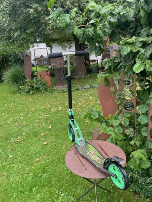 Verkaufe Sooter-Roller Bild 3