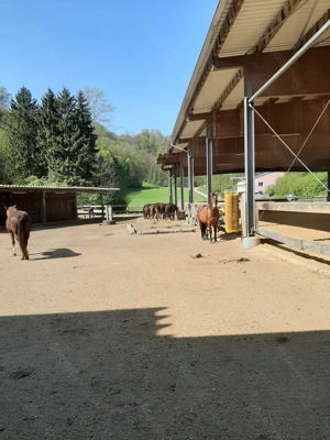 Einstellplatz in Koblach zu vergeben  Bild 4