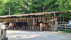Einstellplatz in Koblach zu vergeben  Bild 5