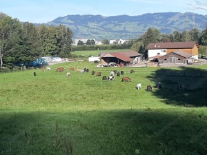 Einstellplatz in Koblach zu vergeben  Bild 6