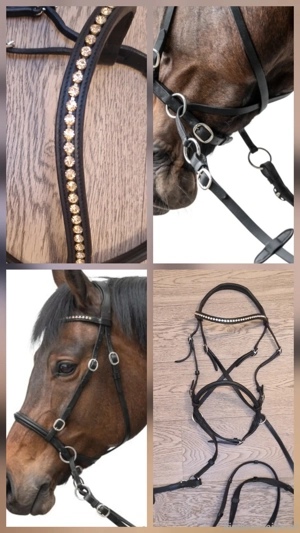 Gebisslose Zäumung Loesdau WB