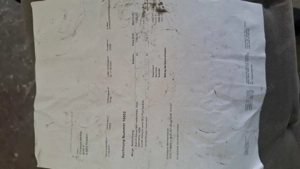 Gravelbike Bianchi Bild 4