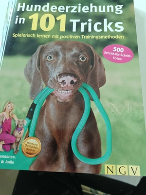 Buch zur Hundeerziehung 