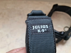 2 Stück JULIUS-K9 Hunde Halsband mit Haltegriff Bild 3